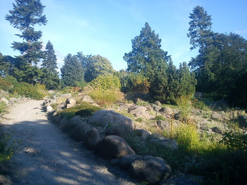 Aarhus Botanical Gardens
