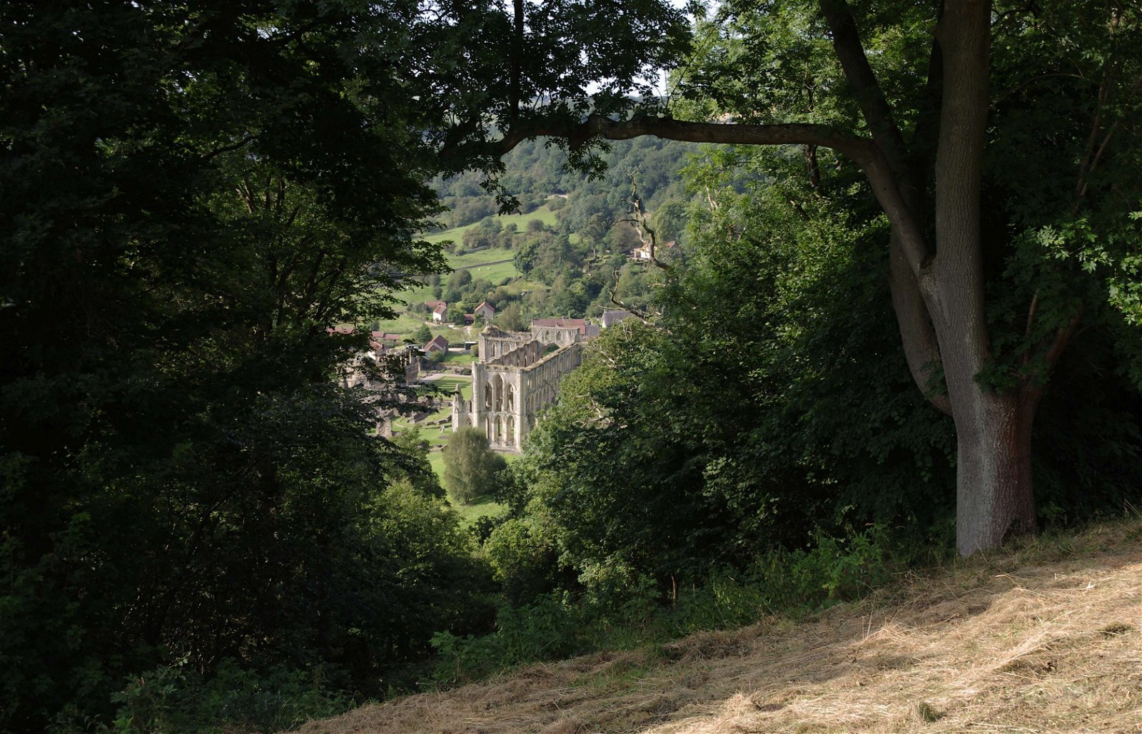Rievaulx Abbey