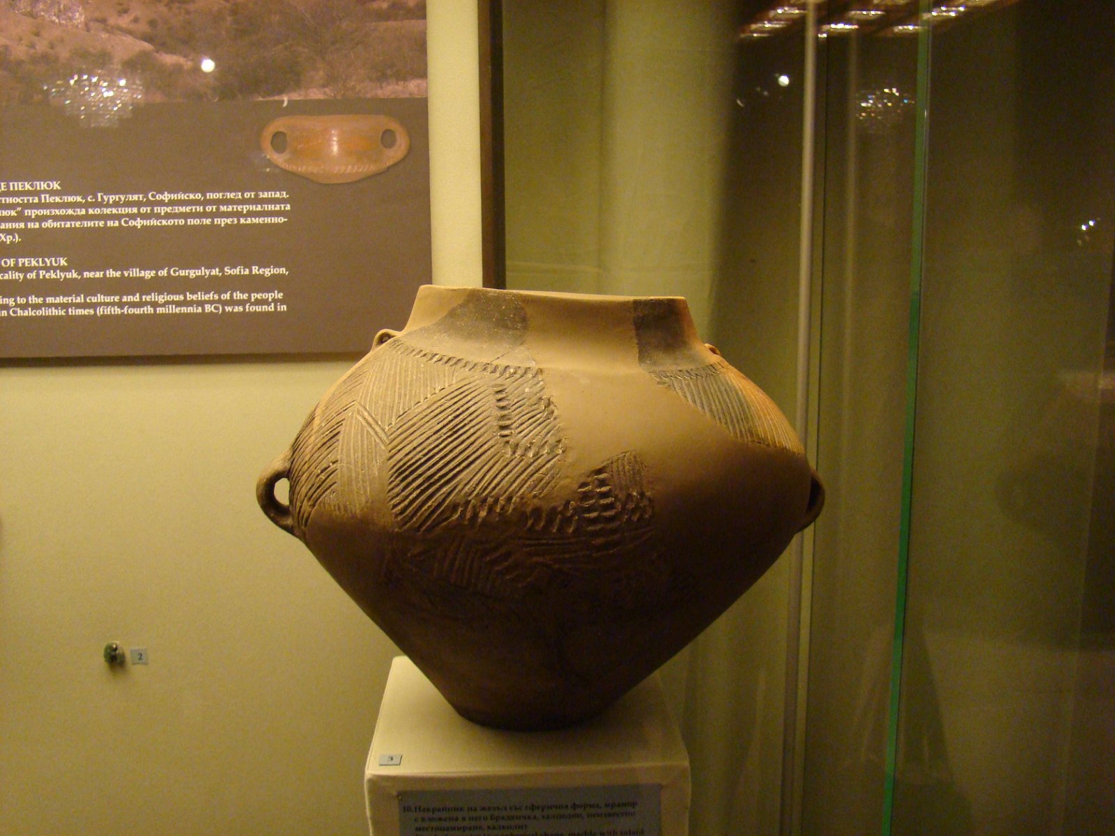 National History Museum