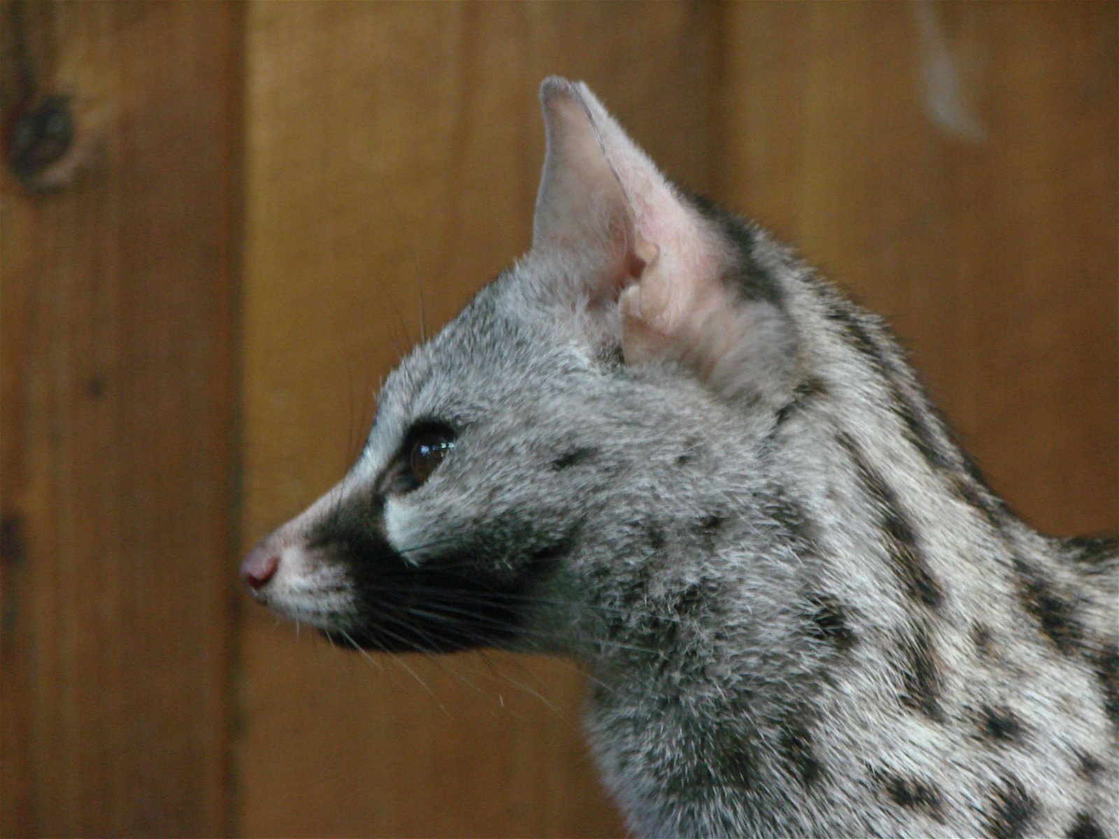 Wroclaw Zoo & Africarium