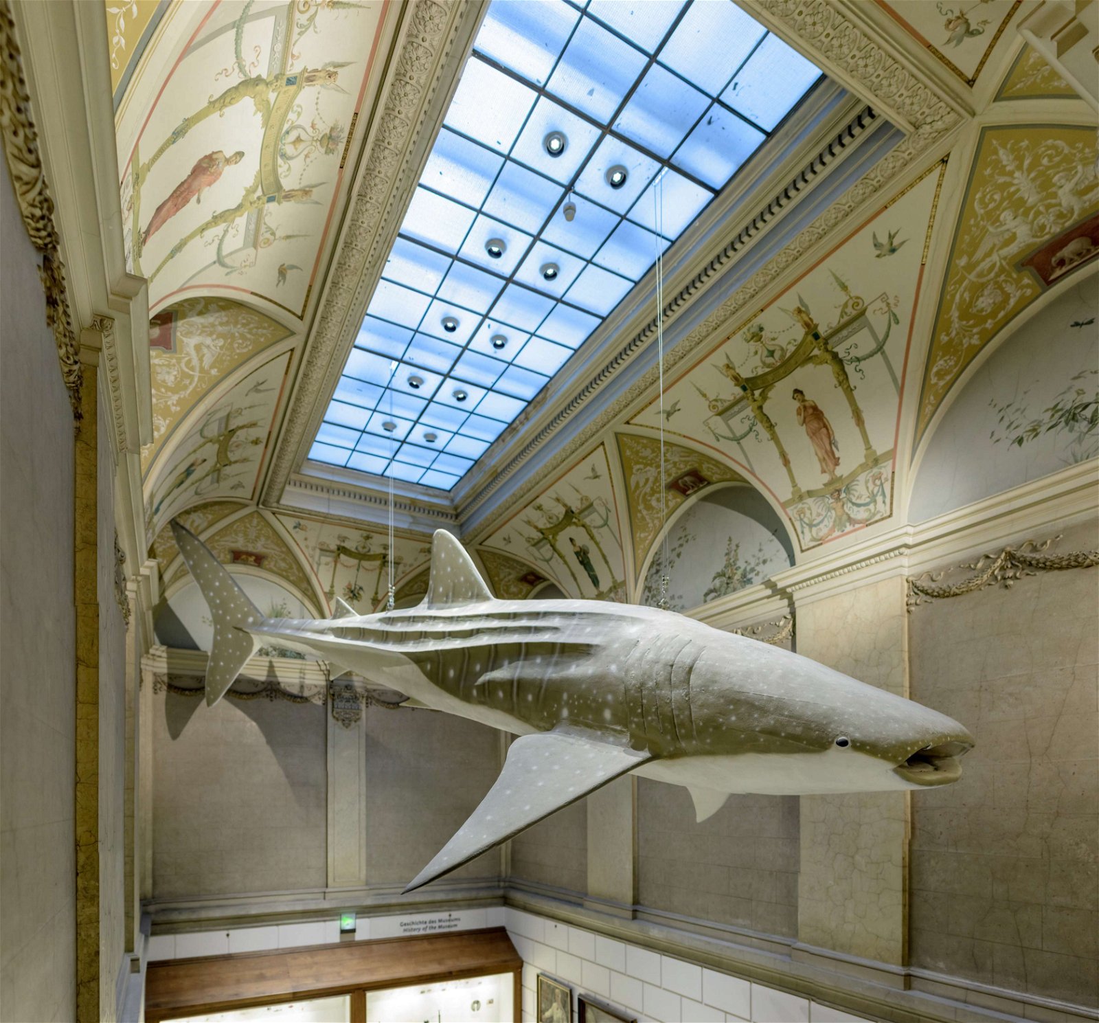 Natural History Museum