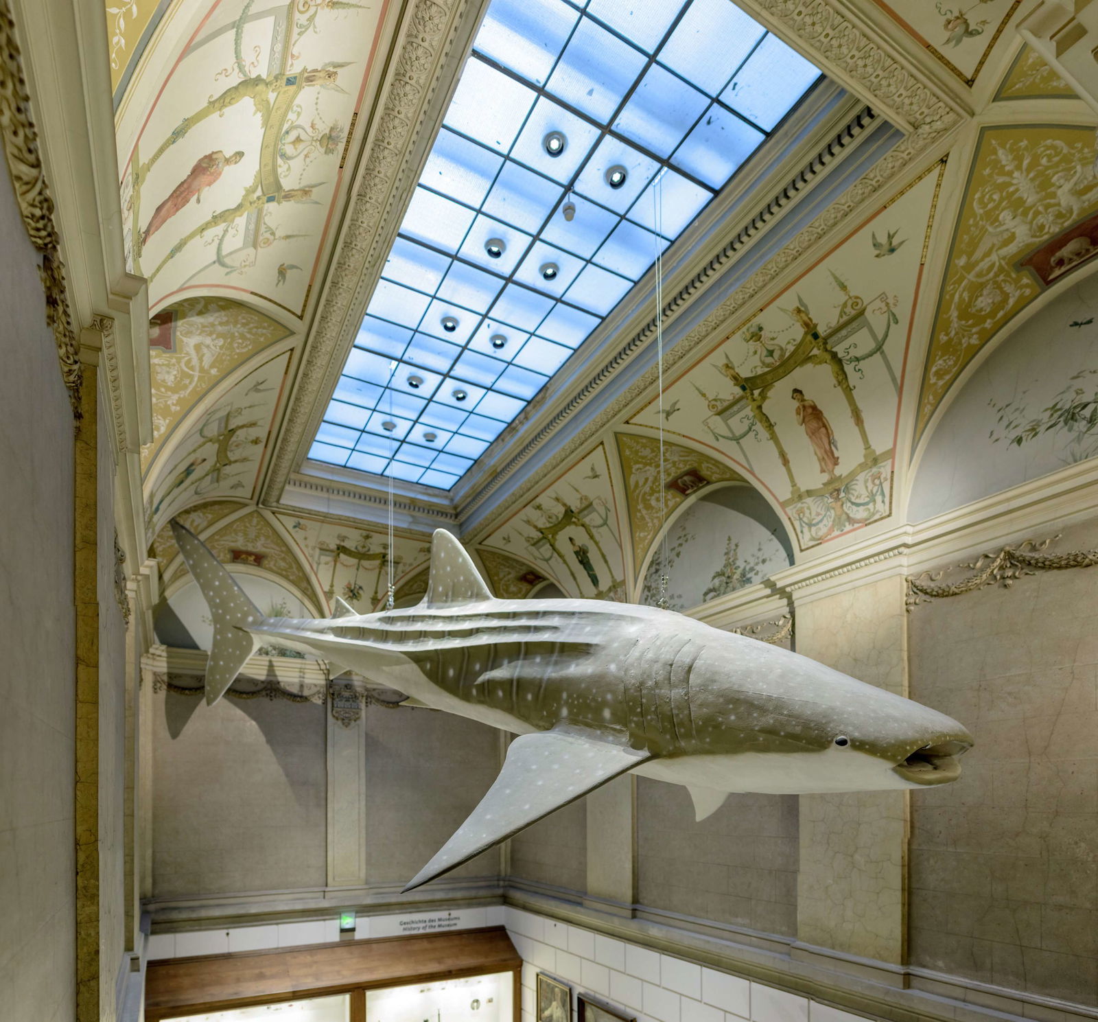 Natural History Museum