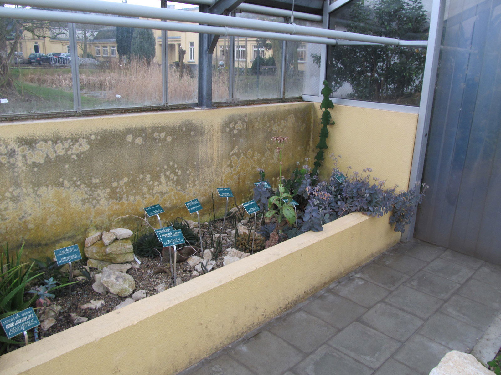 De wereld van Kina: de Tuin