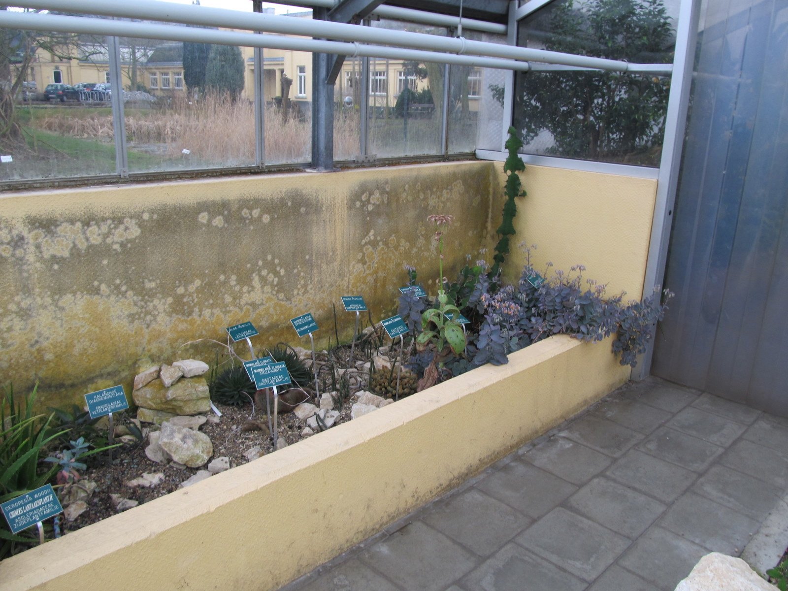 De wereld van Kina: de Tuin