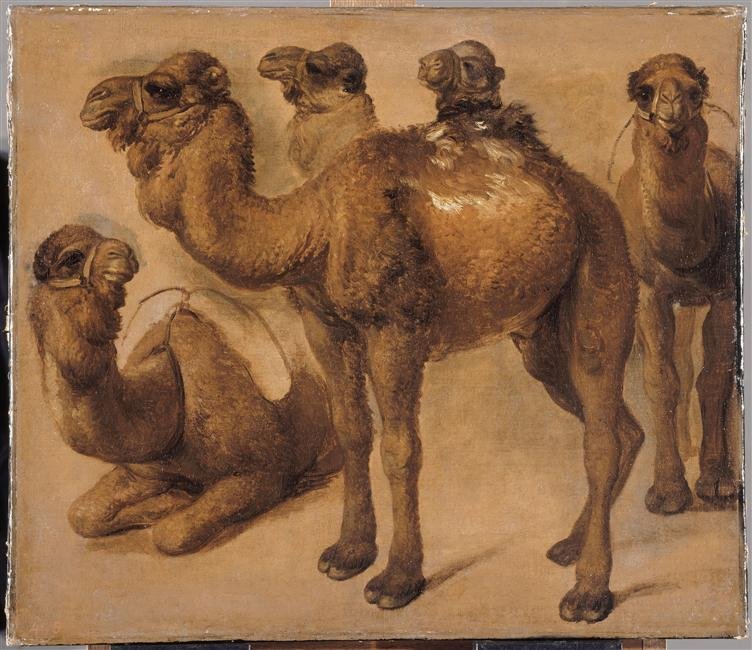 Musée des Beaux-Arts Jules Chéret