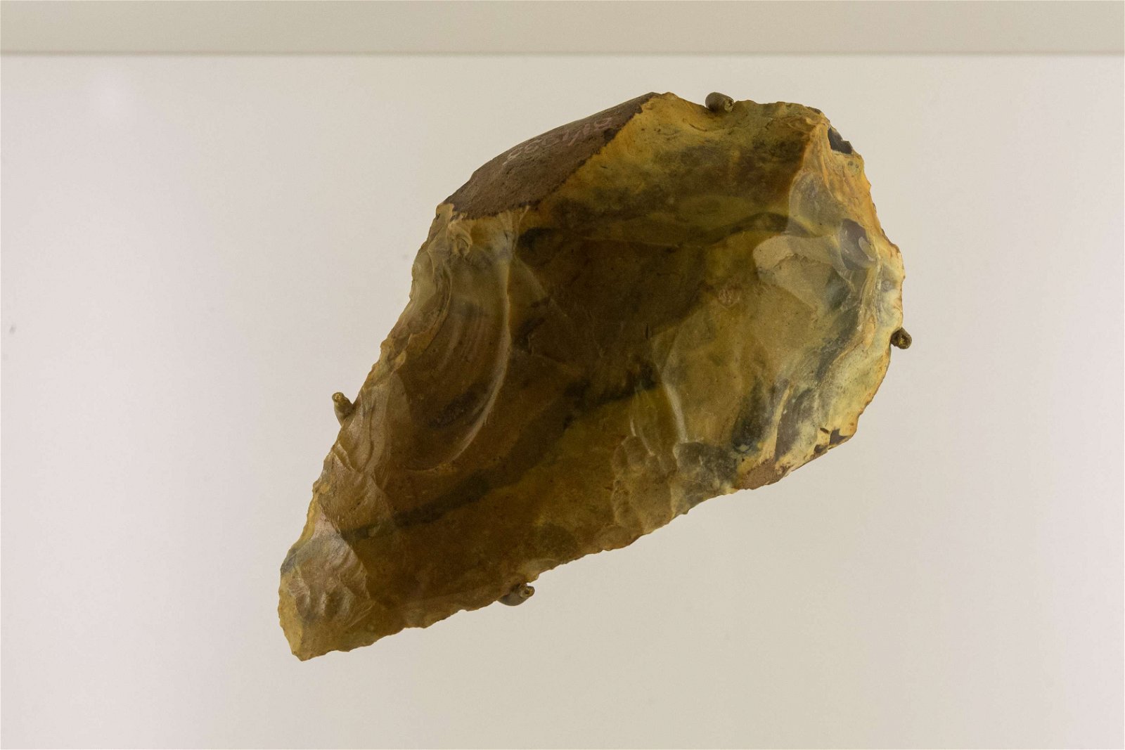 Royal Albert Memorial Museum and Art Gallery