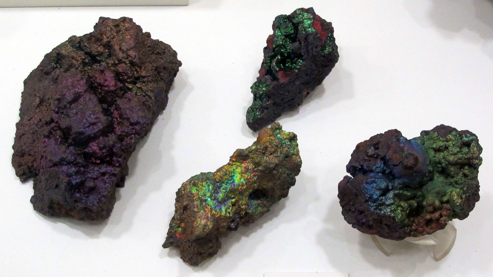 Museo di Storia Naturale di Firenze - Geologia e Paleontologia