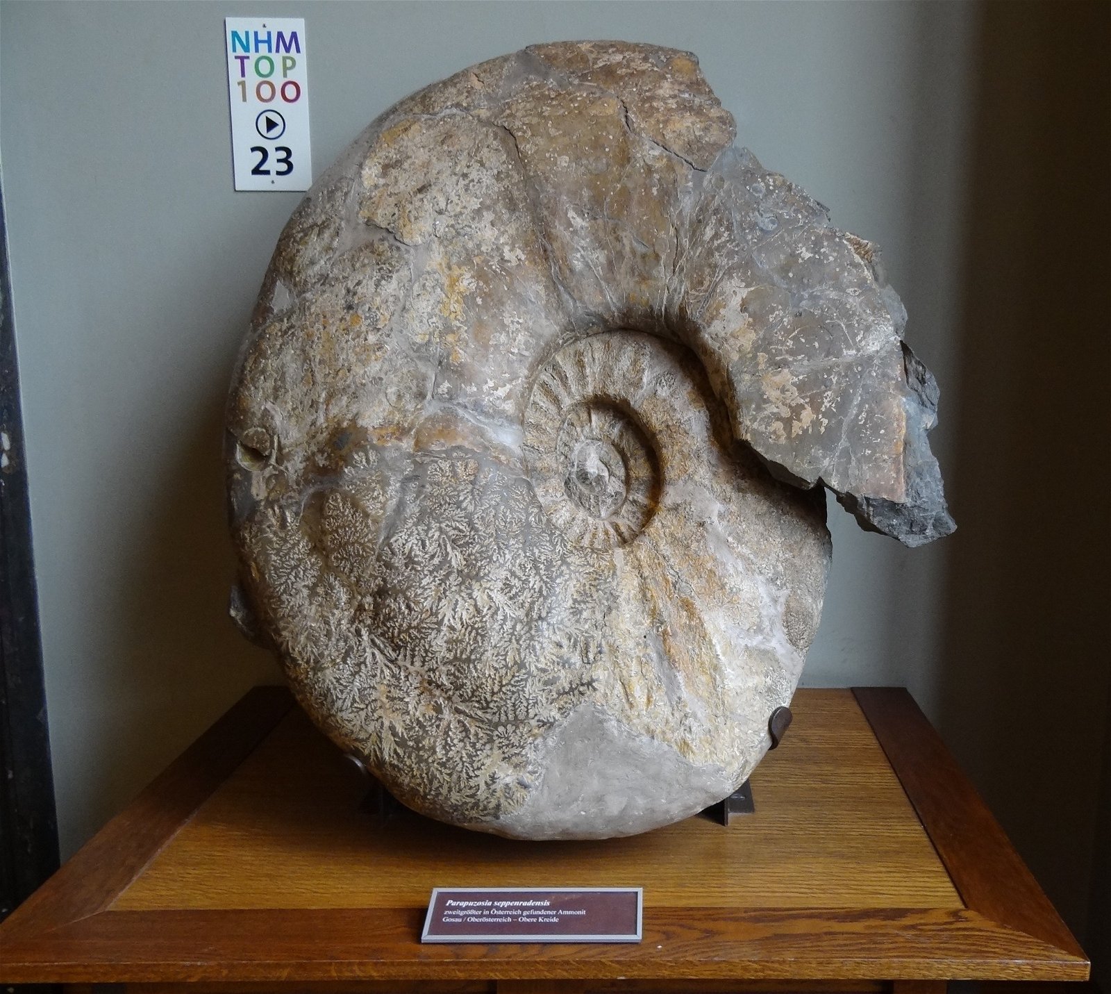 Natural History Museum