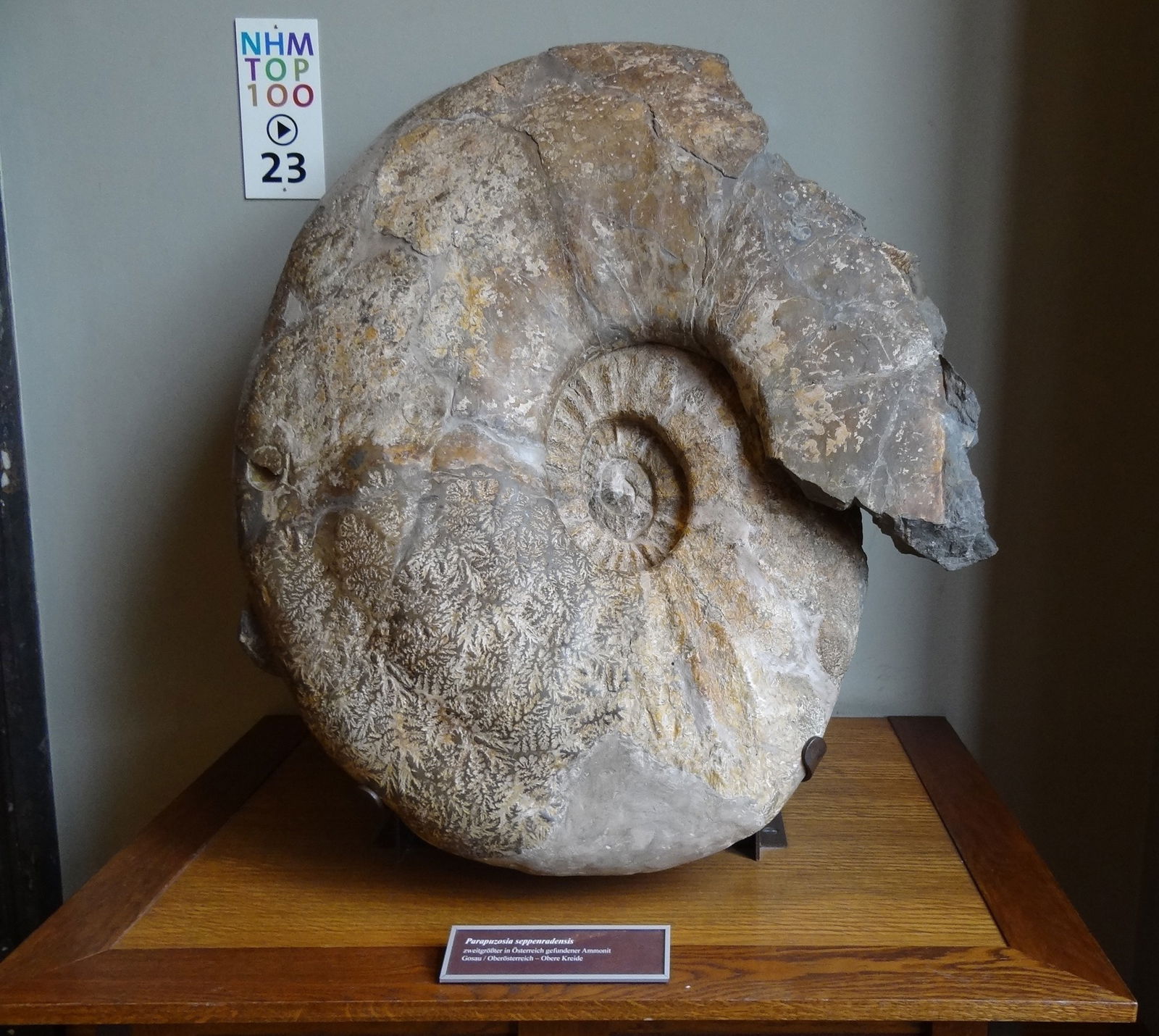 Natural History Museum