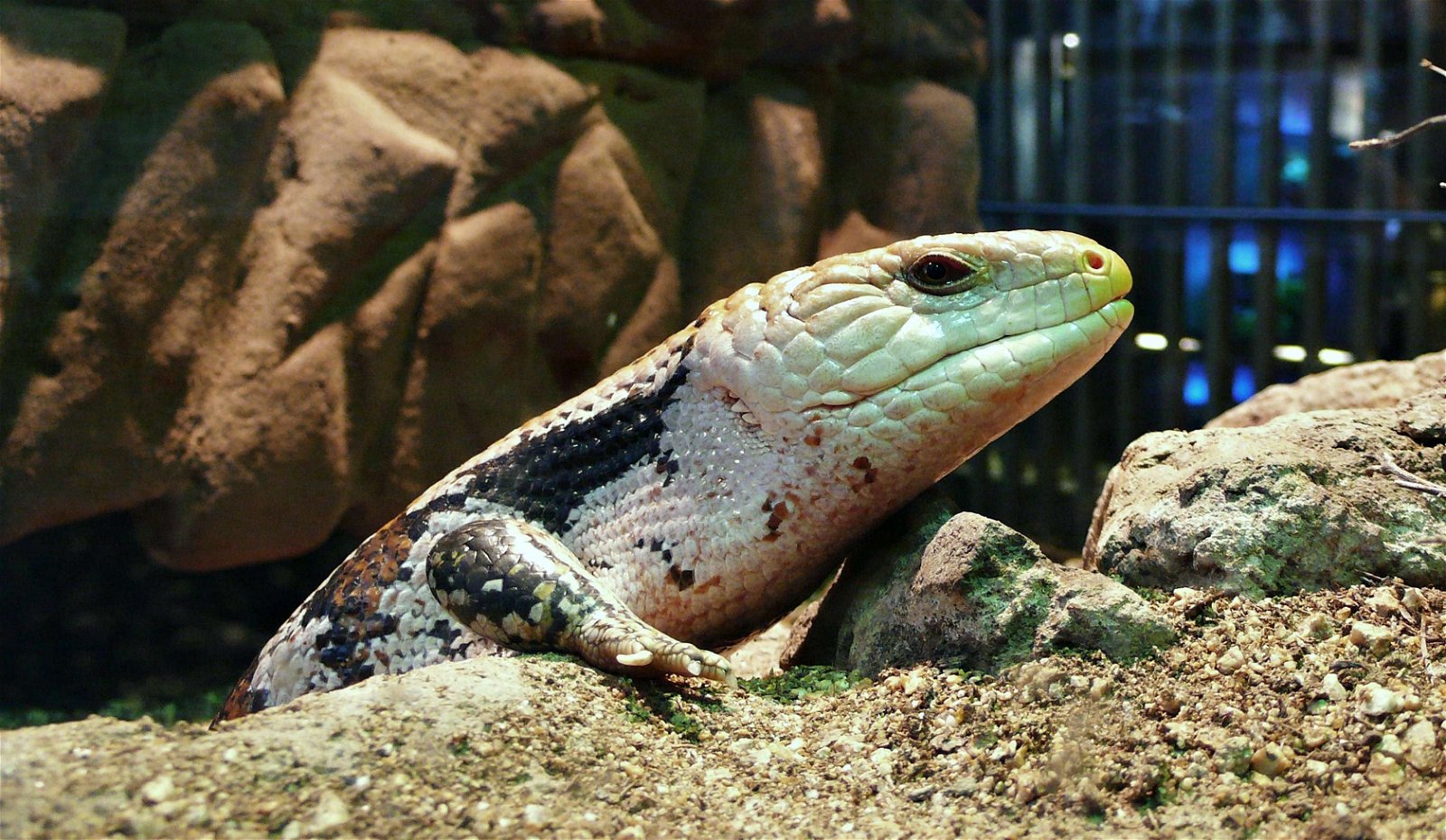 CosmoCaixa Barcelona