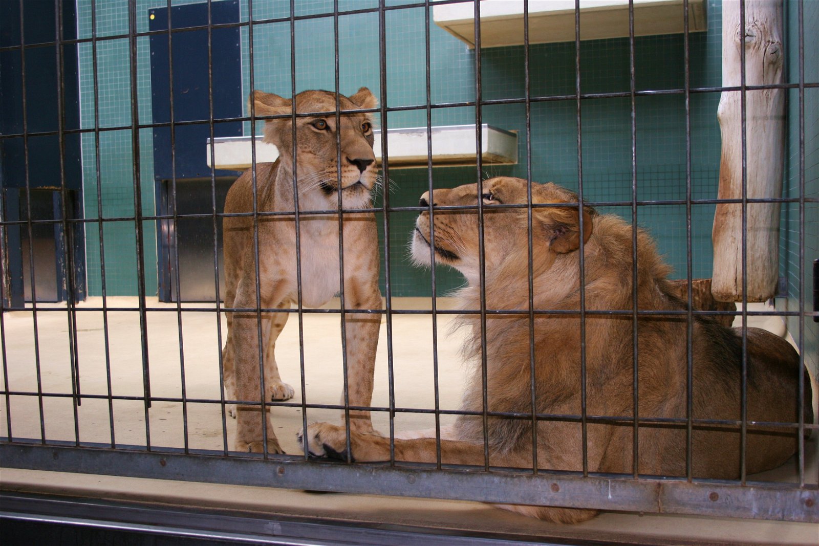 Berlin Zoological Garden
