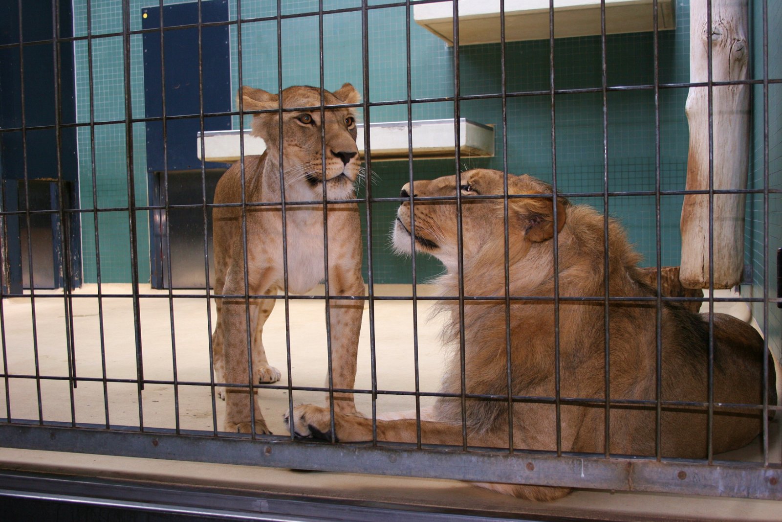 Berlin Zoological Garden
