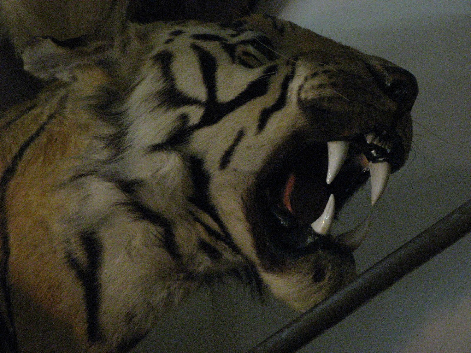 Musée de la Chasse et de la Nature