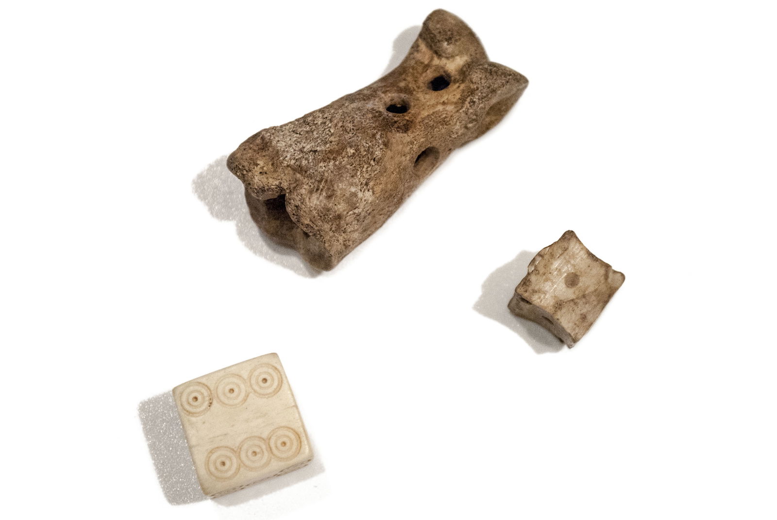 Roman Museum at the Hoher Markt