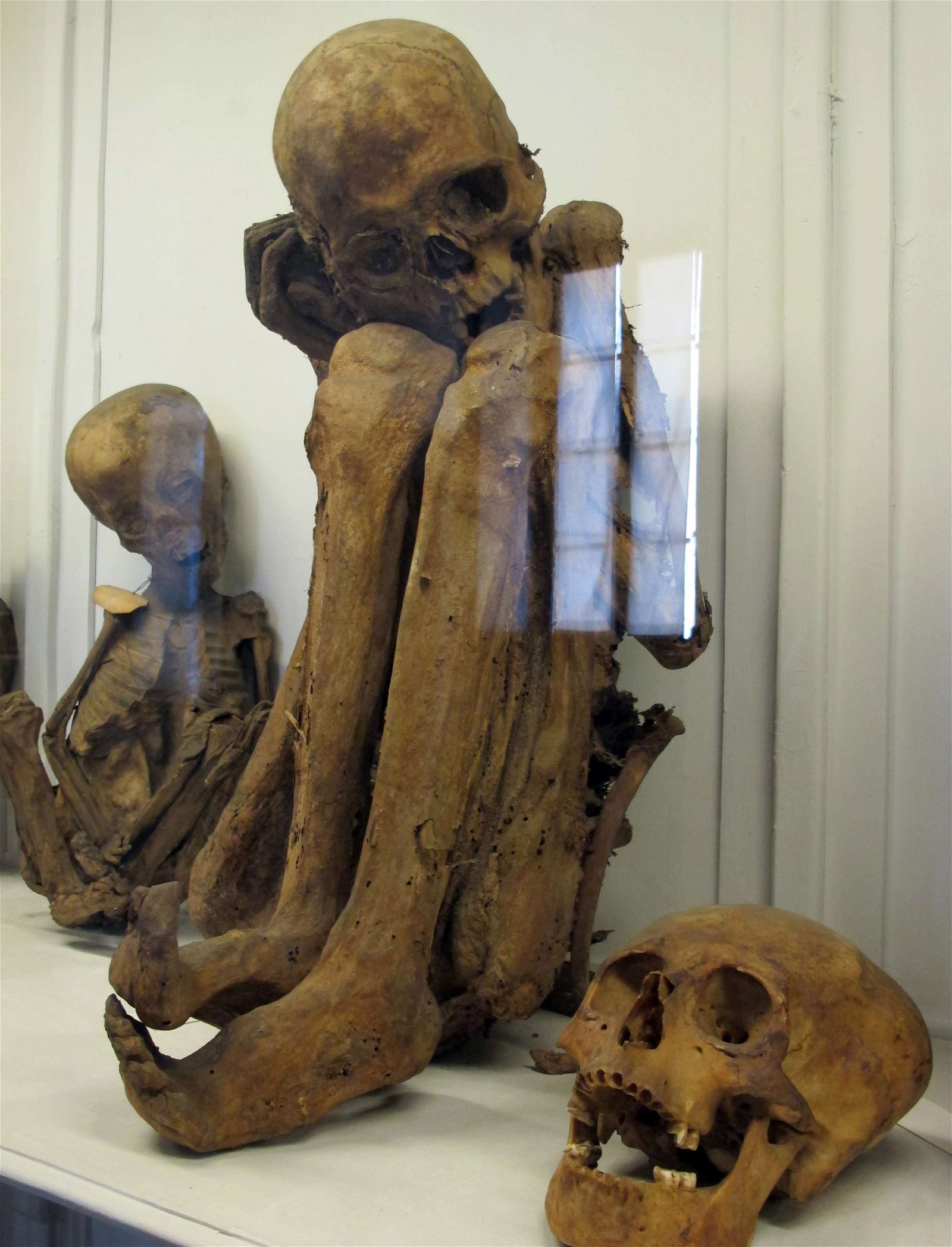 Museum of Anthropology and Ethnology