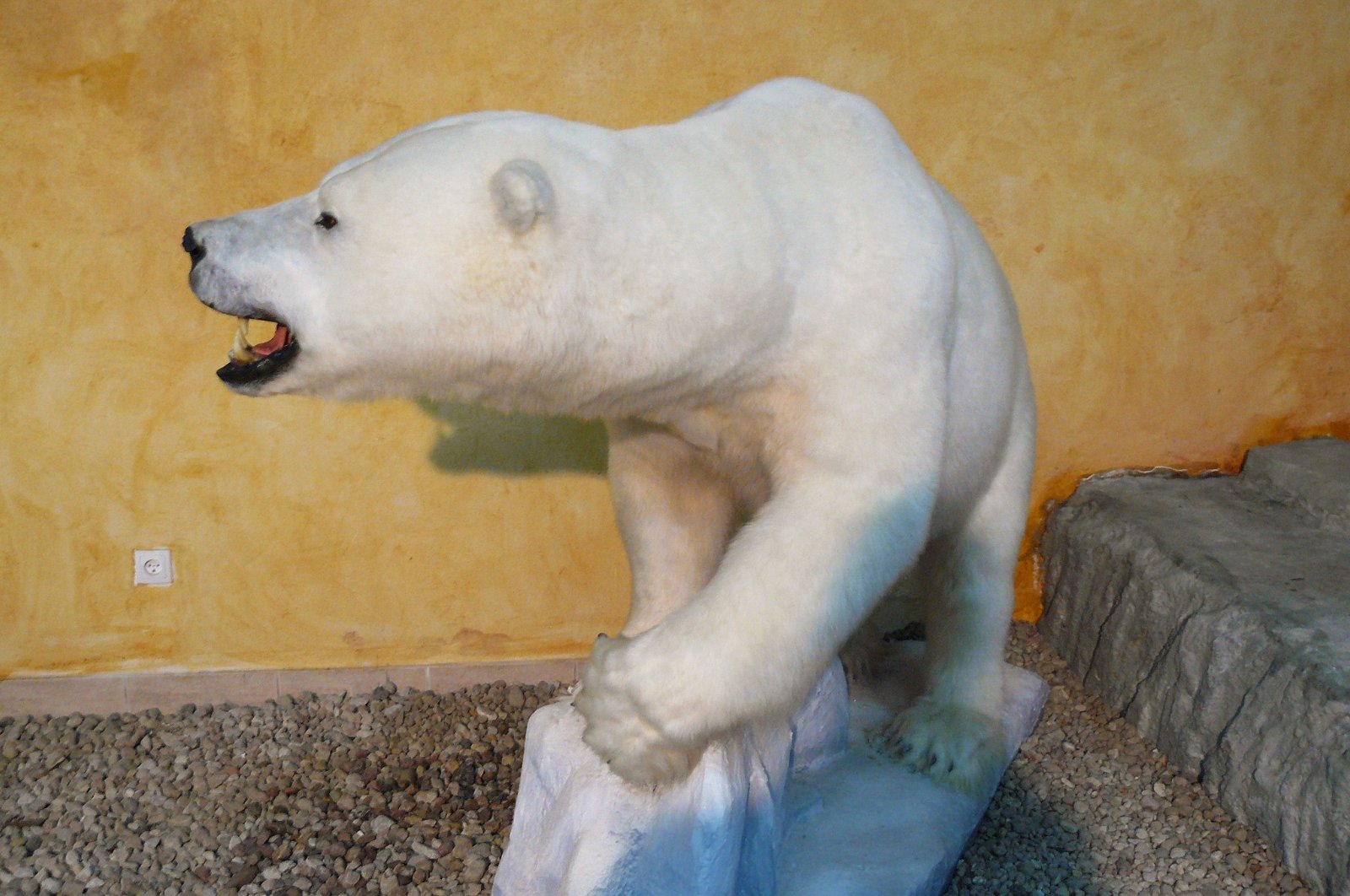 Museum of Natural Environment and Hunting