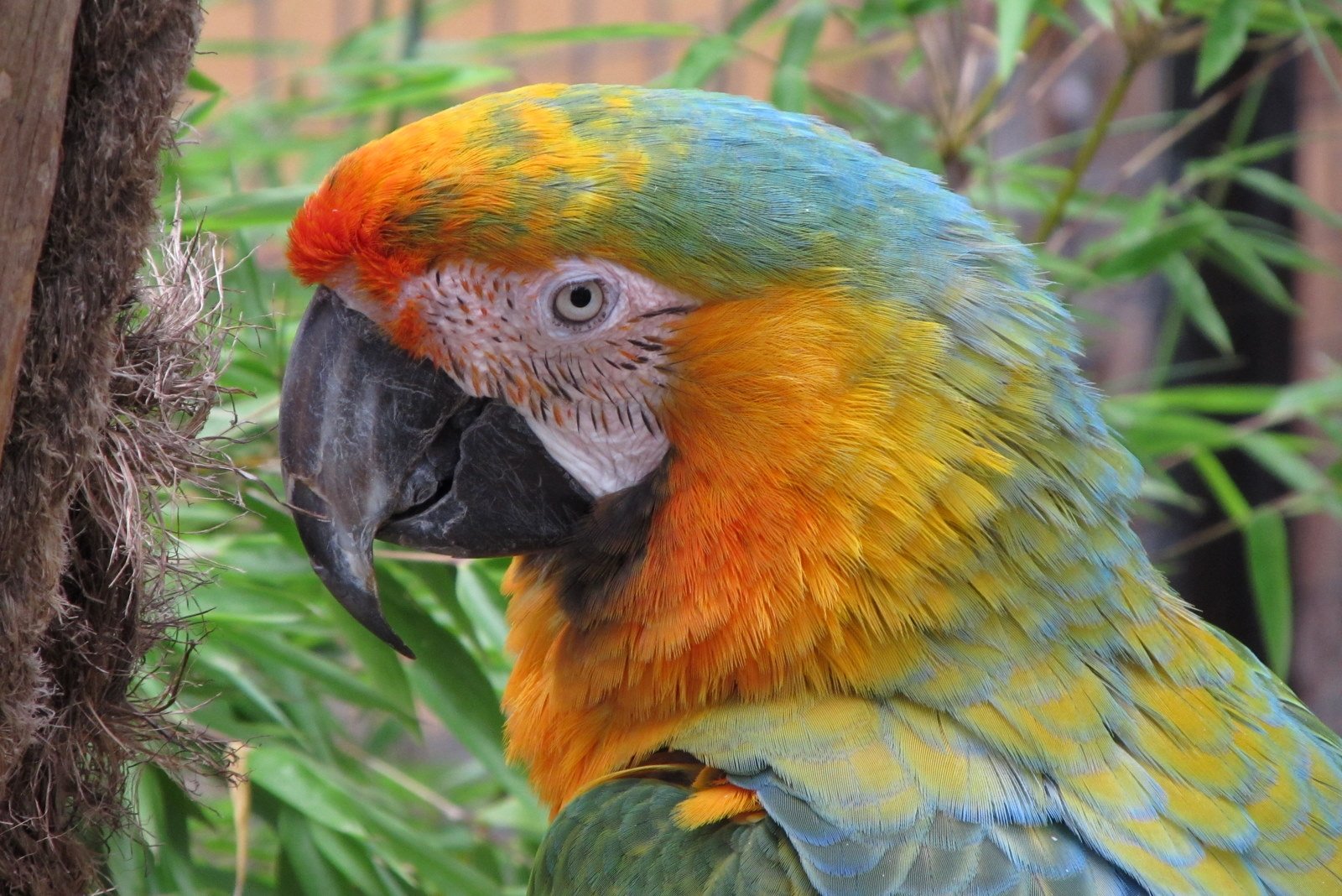 Familiepark Harry Malter