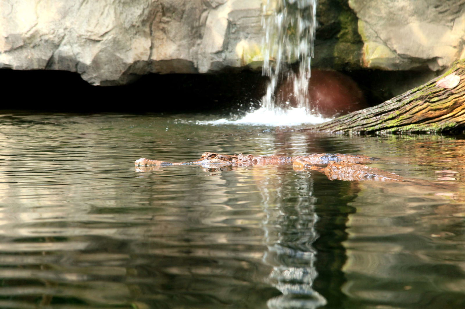 Zoologischer Garten Leipzig