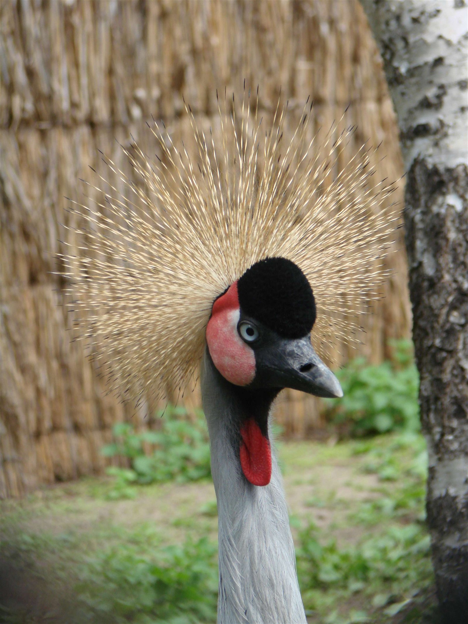 Wroclaw Zoo & Africarium