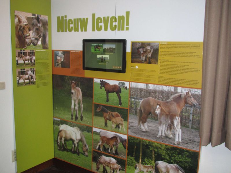 Museum van het Belgisch Trekpaard
