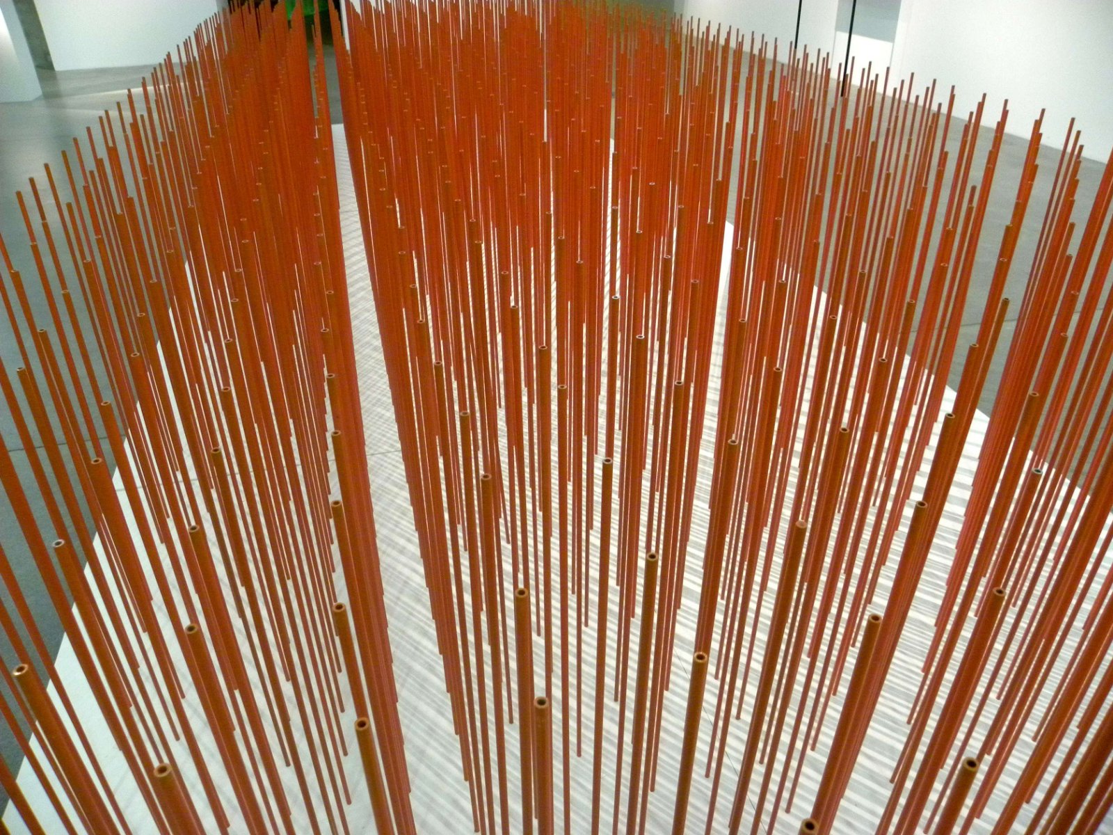 Museum of Contemporary Art