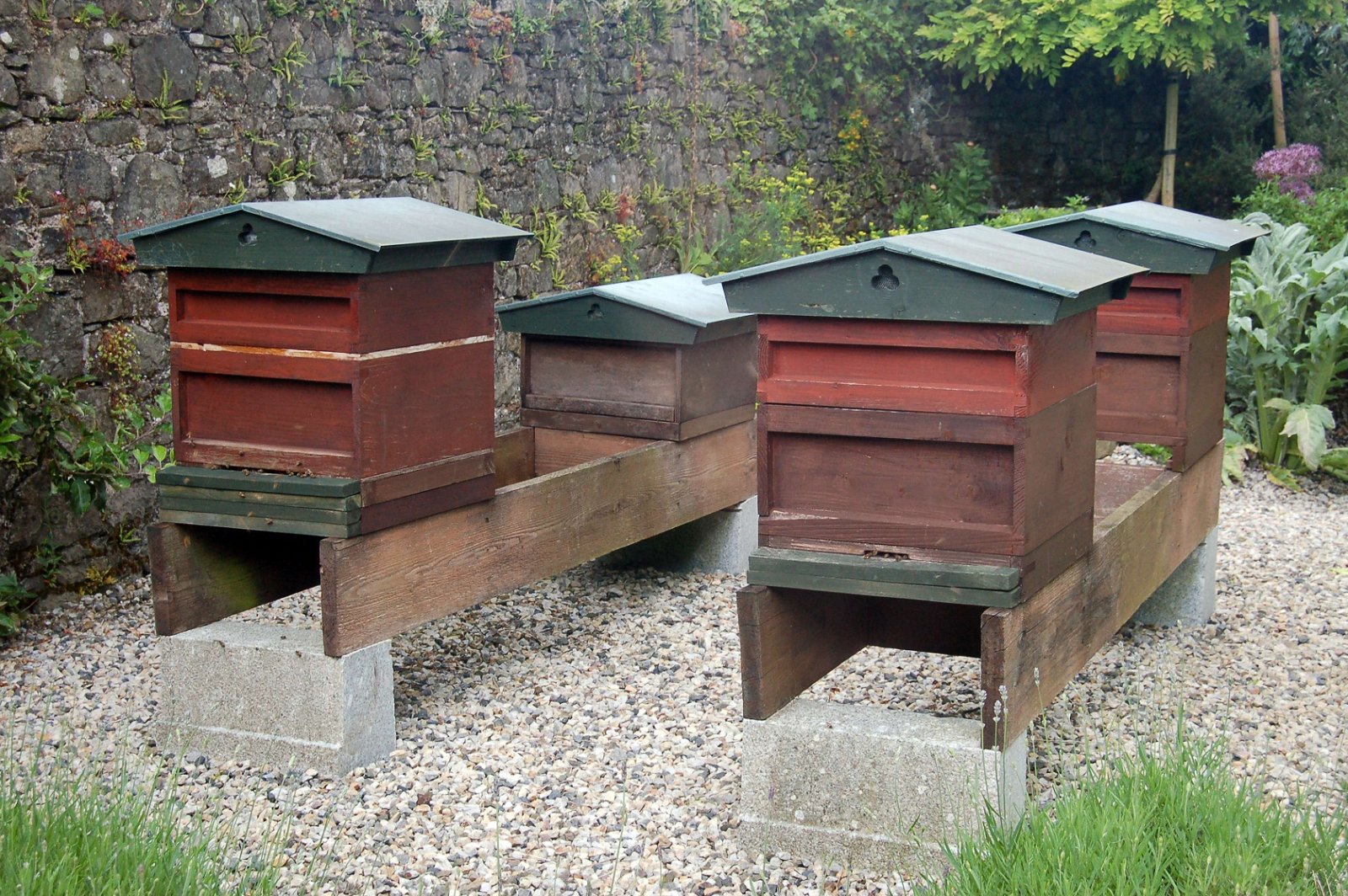 National Botanic Garden of Wales
