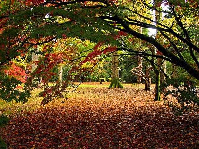Westonbirt Arboretum