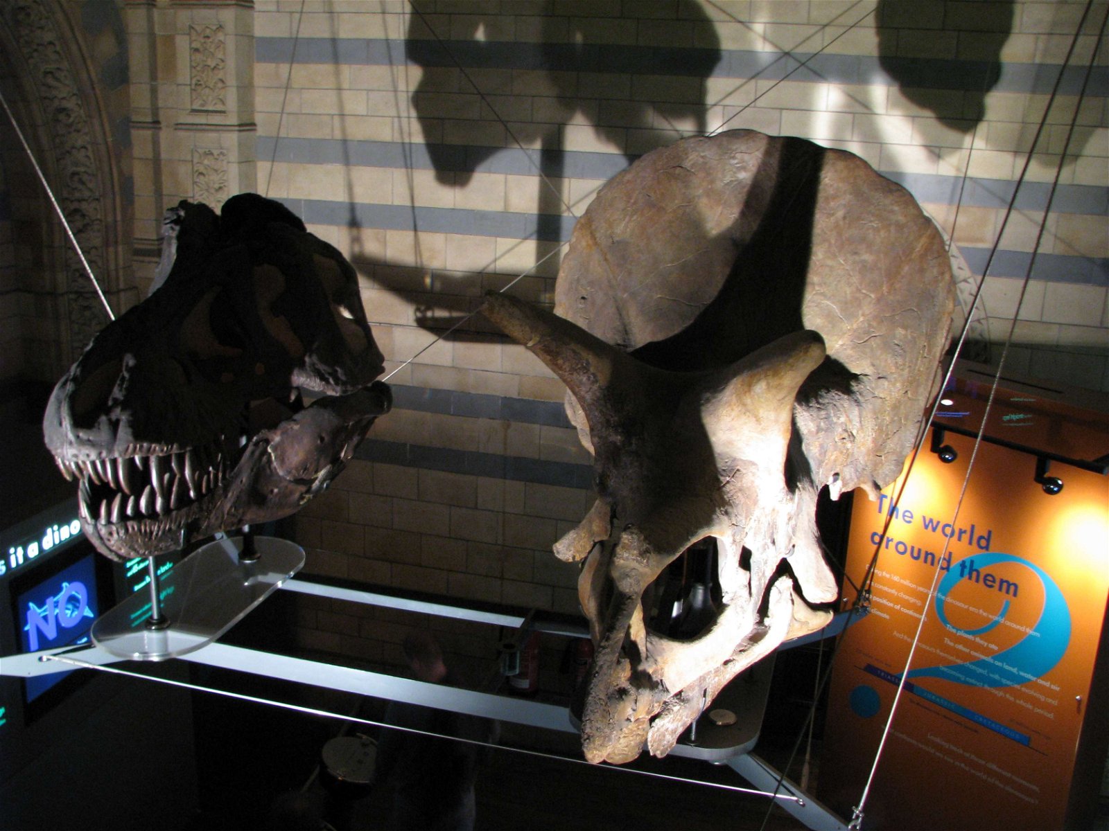 Natural History Museum