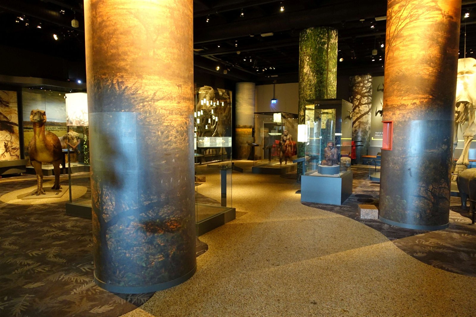 Swedish Museum of Natural History