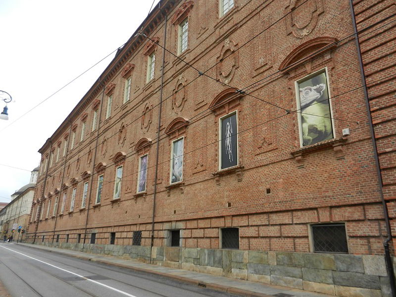 Museo Regionale di Scienze Naturali