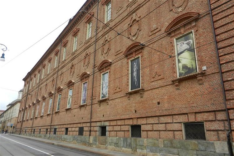 Turin Museum of Natural History