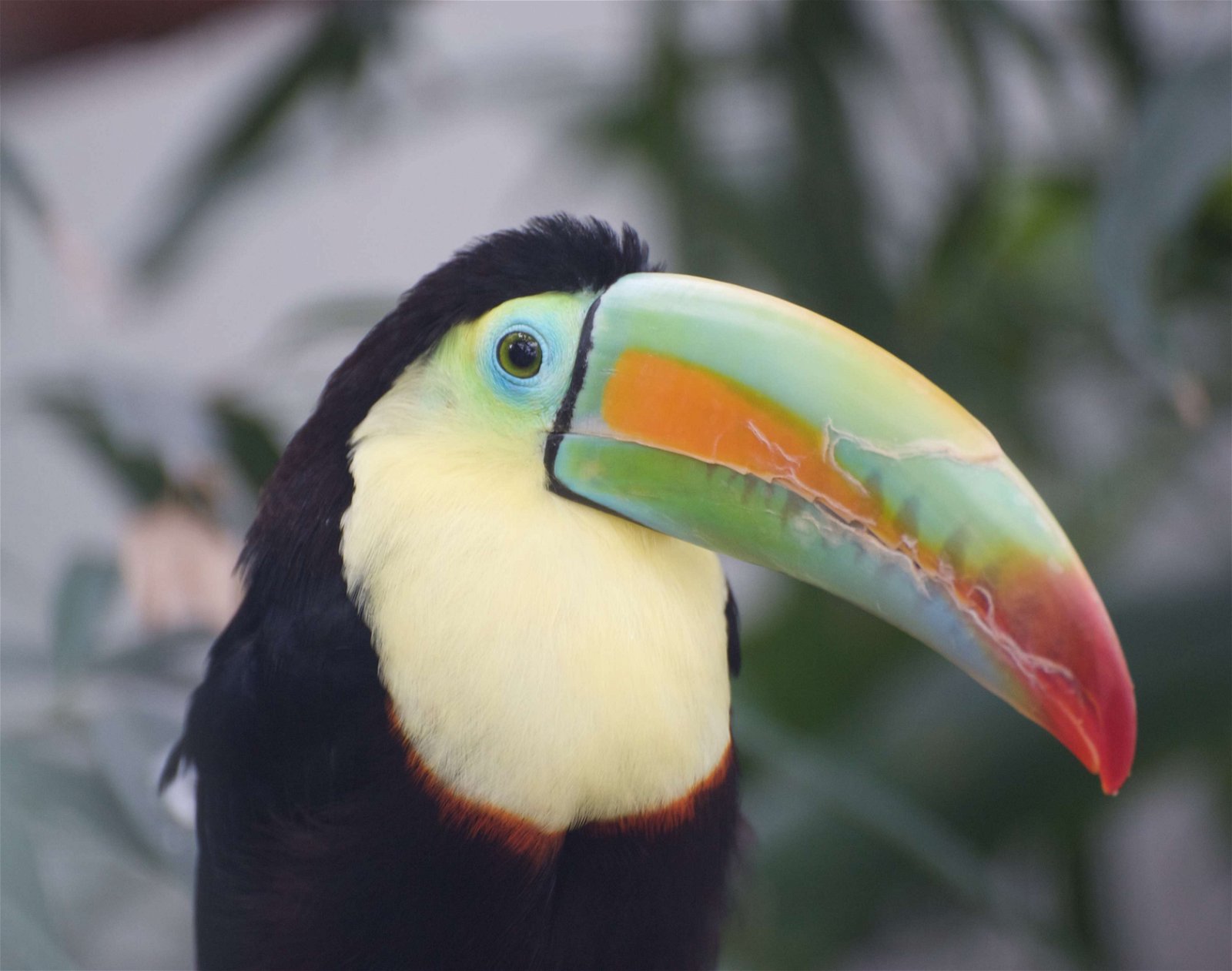 Wilhelma Zoo and Botanical Garden