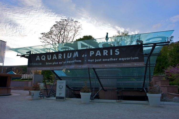 Aquarium de Paris - CineAqua