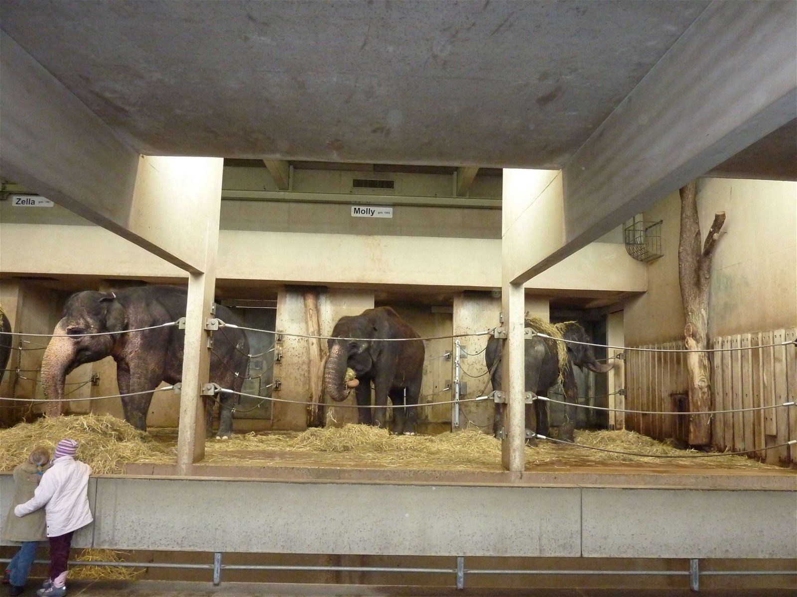 Wilhelma Zoo and Botanical Garden