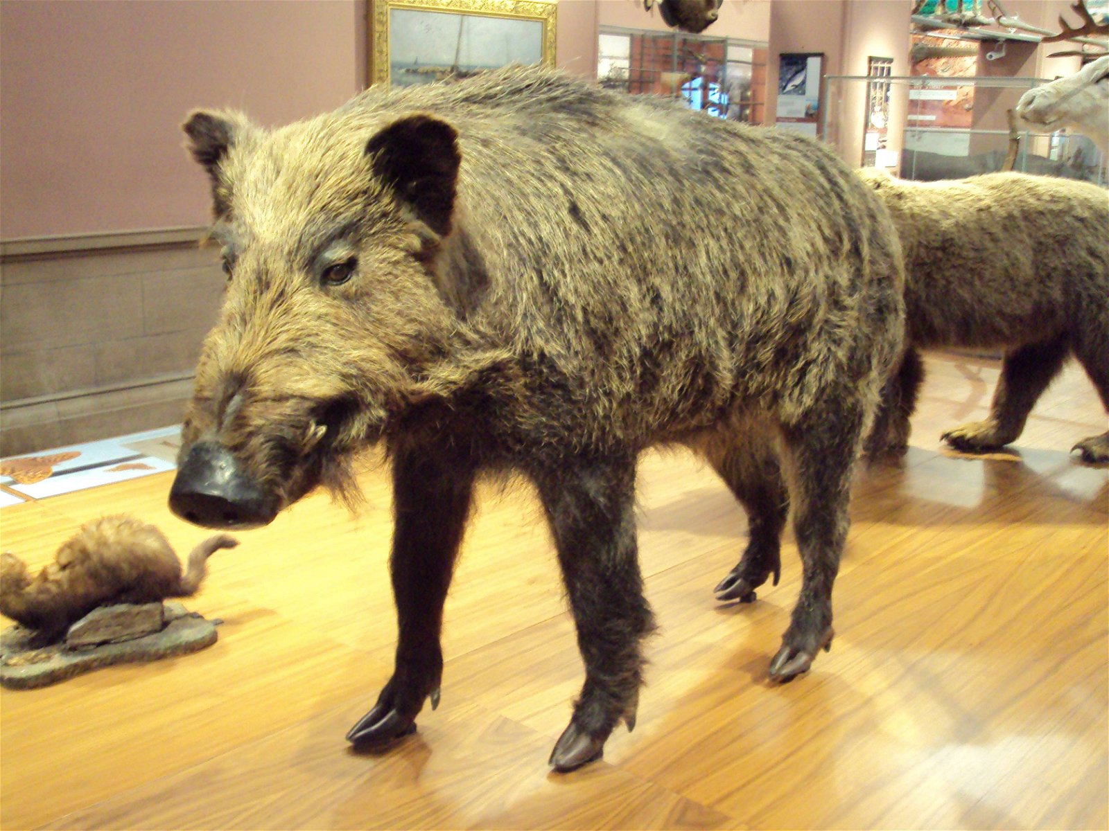 Kelvingrove Art Gallery and Museum