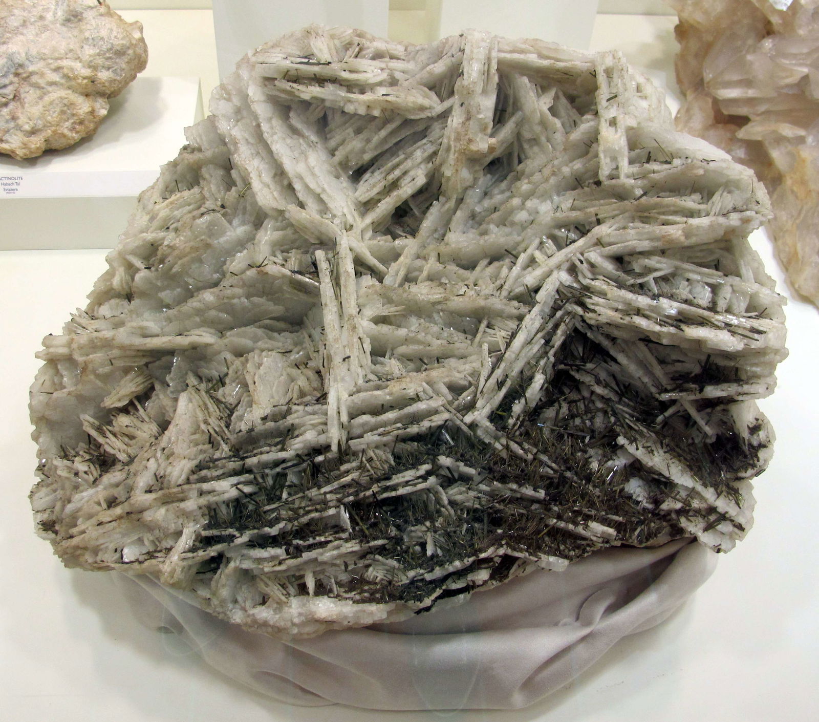 Museo di Storia Naturale di Firenze - Geologia e Paleontologia