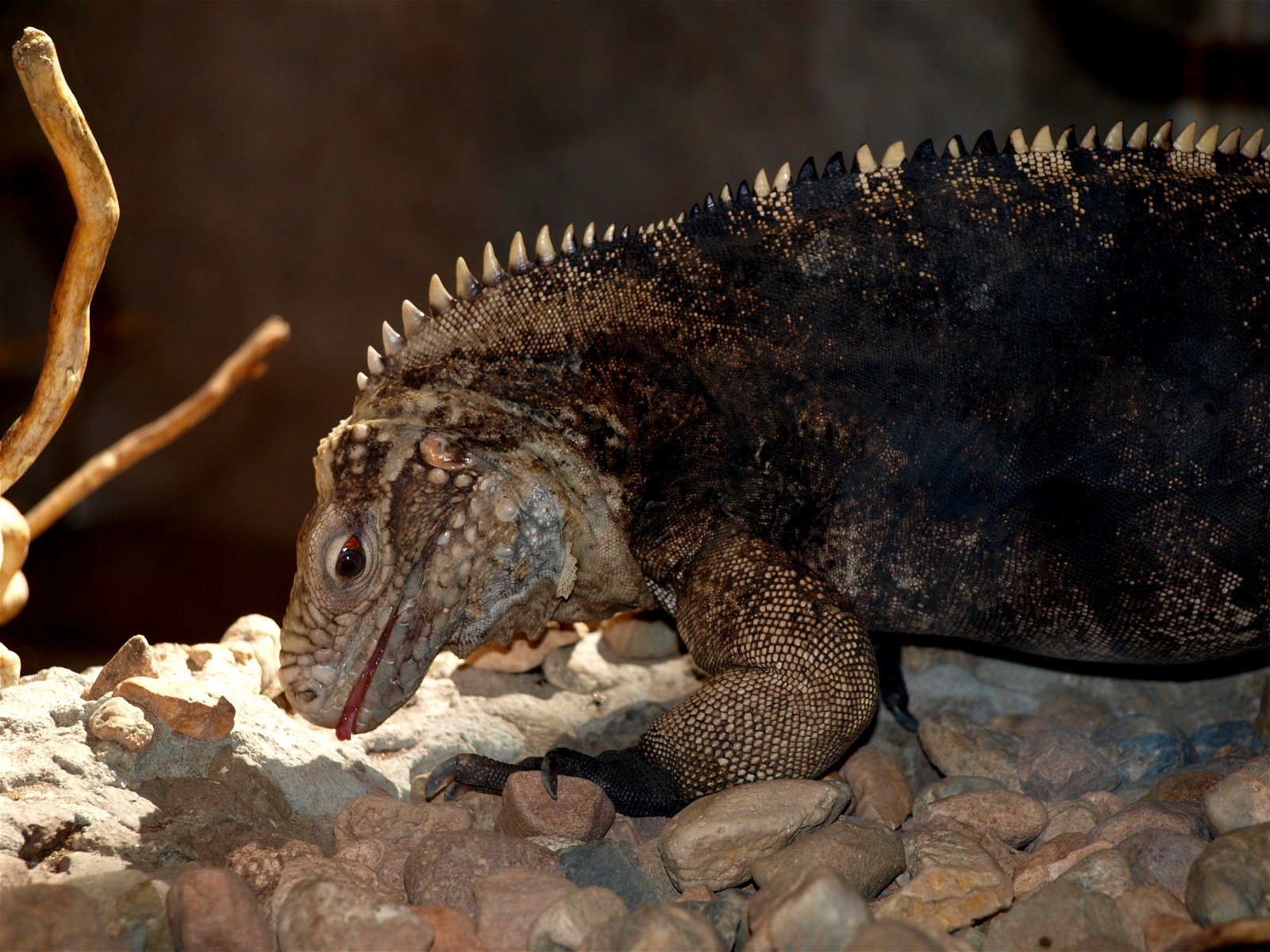 Wroclaw Zoo & Africarium