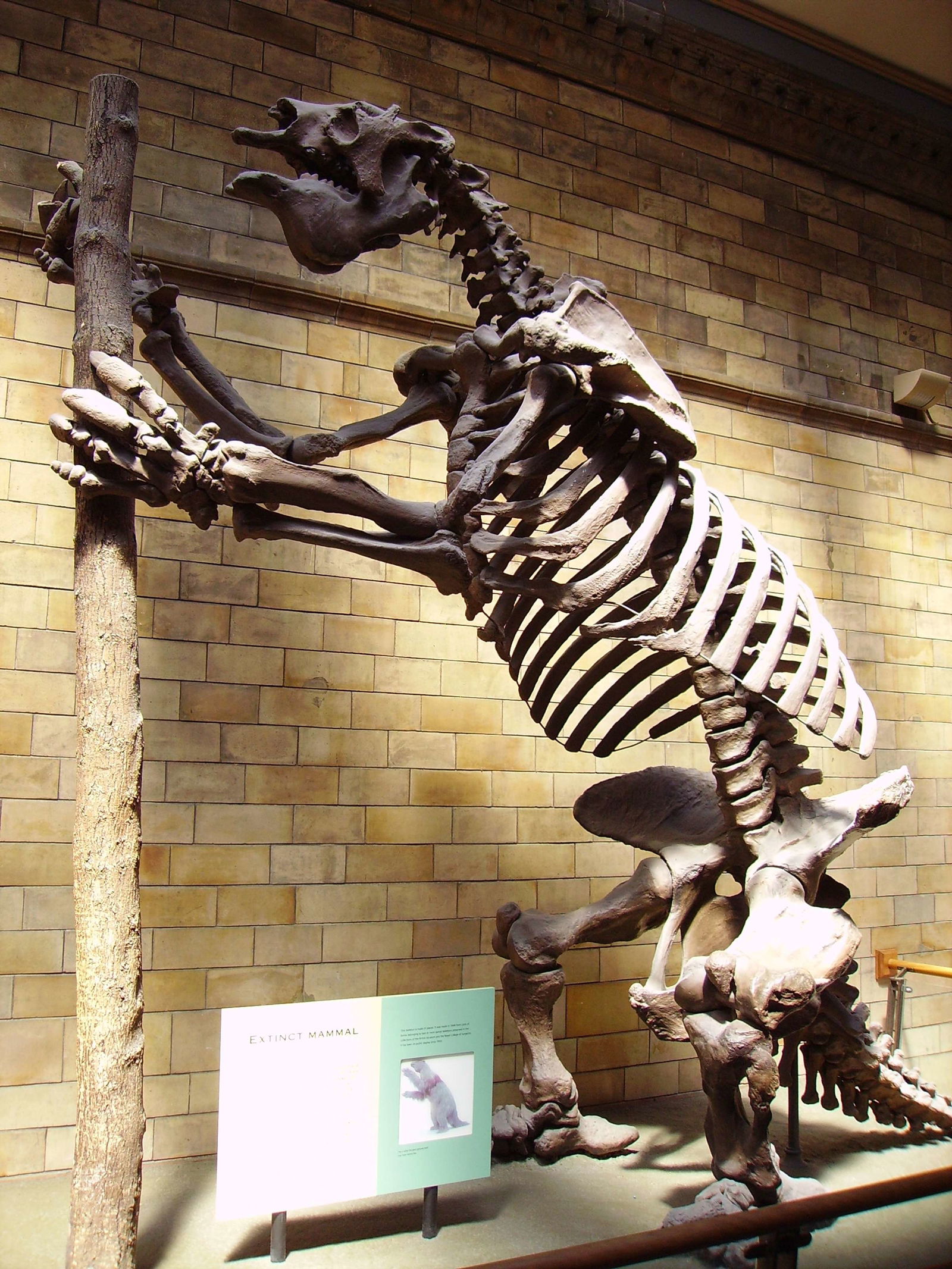 Natural History Museum