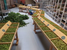 Hopmuseum Poperinge (Poperinge) - Bezoekersinformatie & Recensies