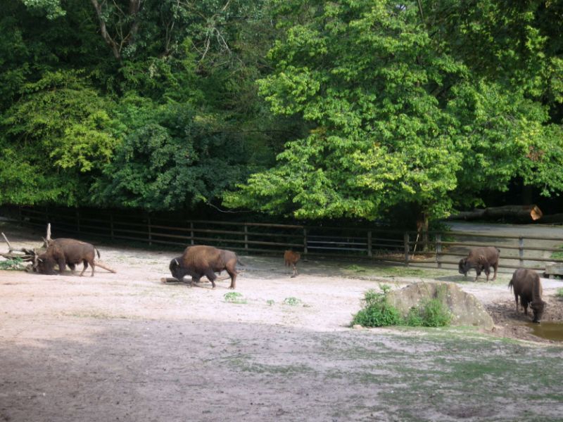 Nuremberg Zoo