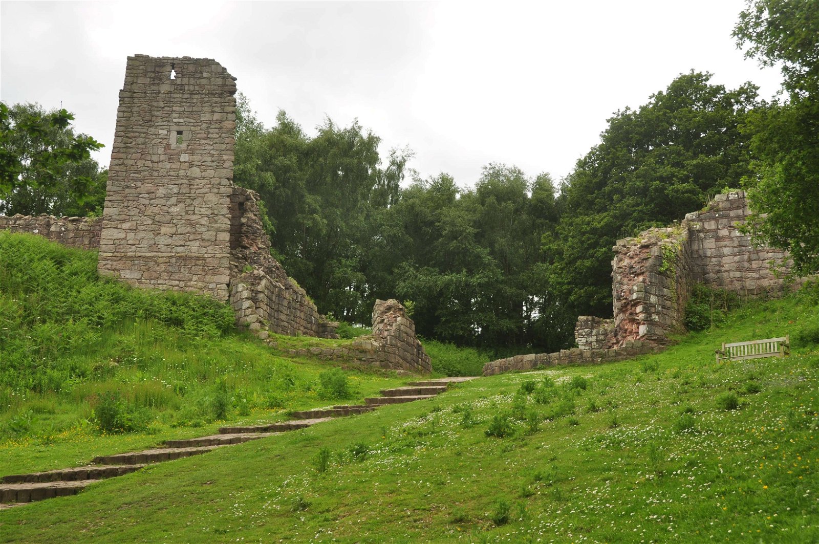 Beeston Castle and Woodland Park