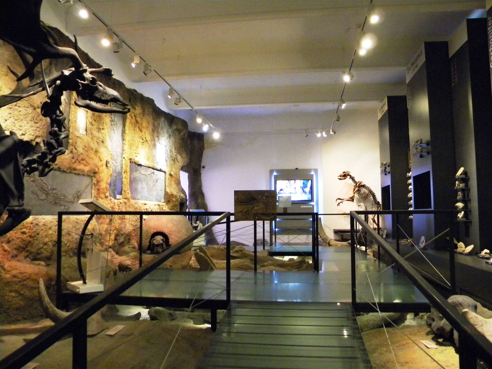 Grigore Antipa National Museum of Natural History