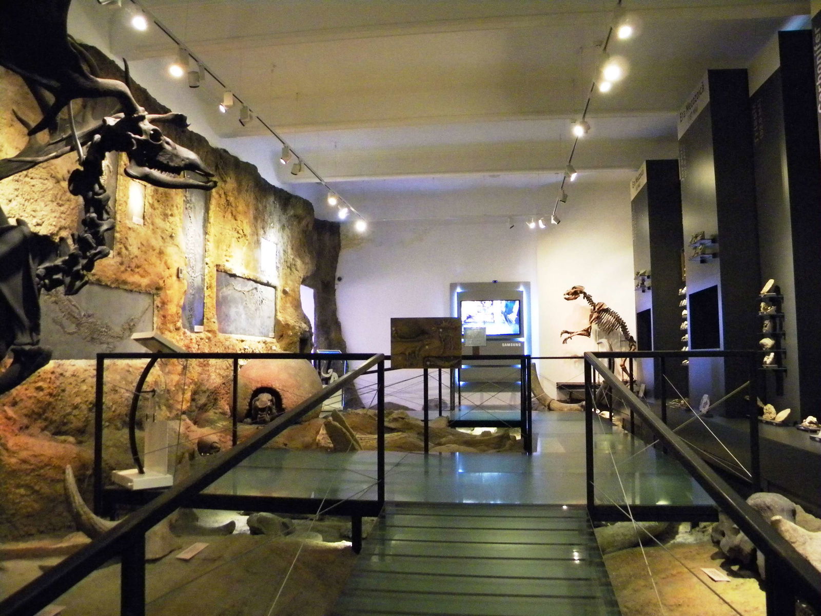 Grigore Antipa National Museum of Natural History