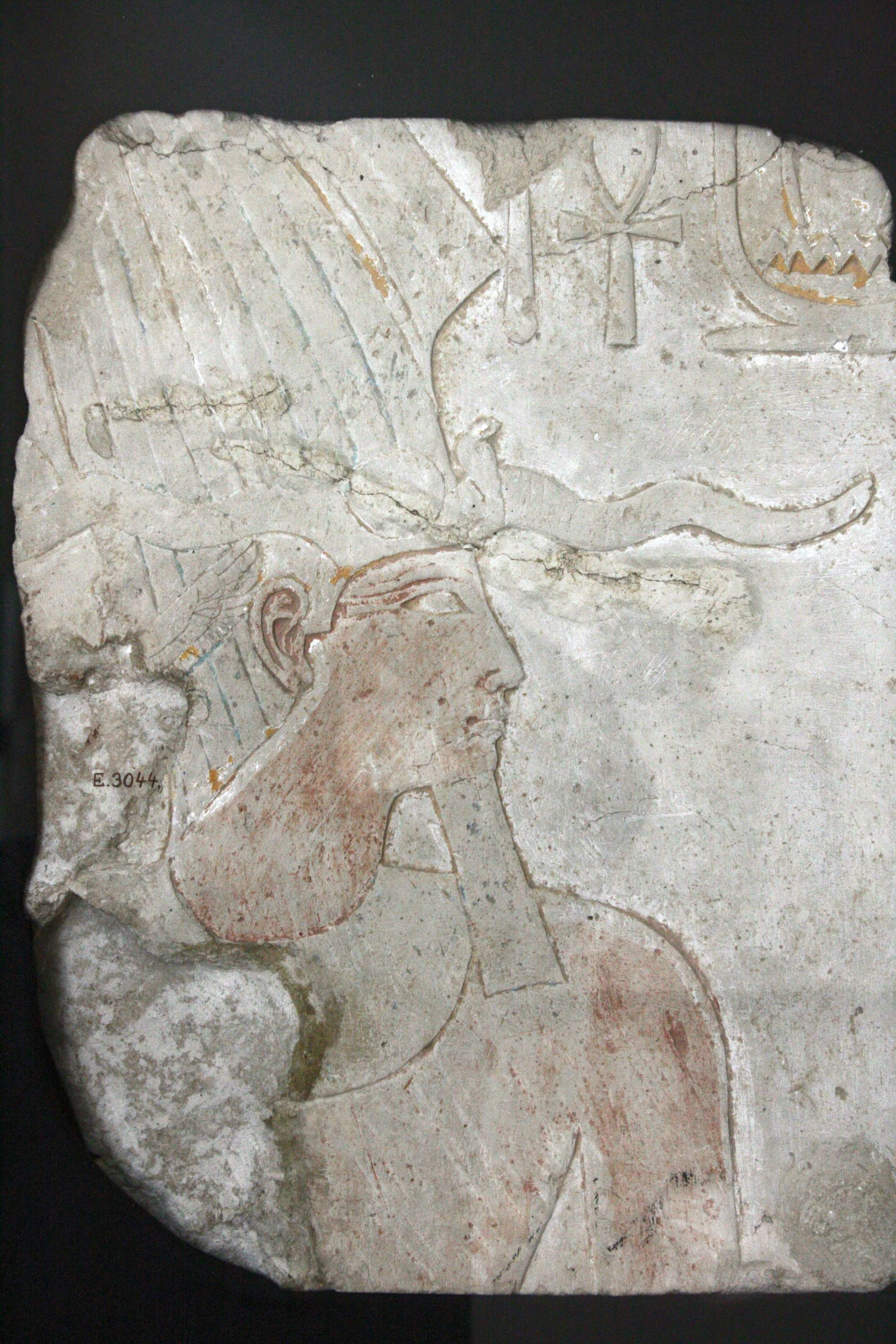 Musée Art et Histoire