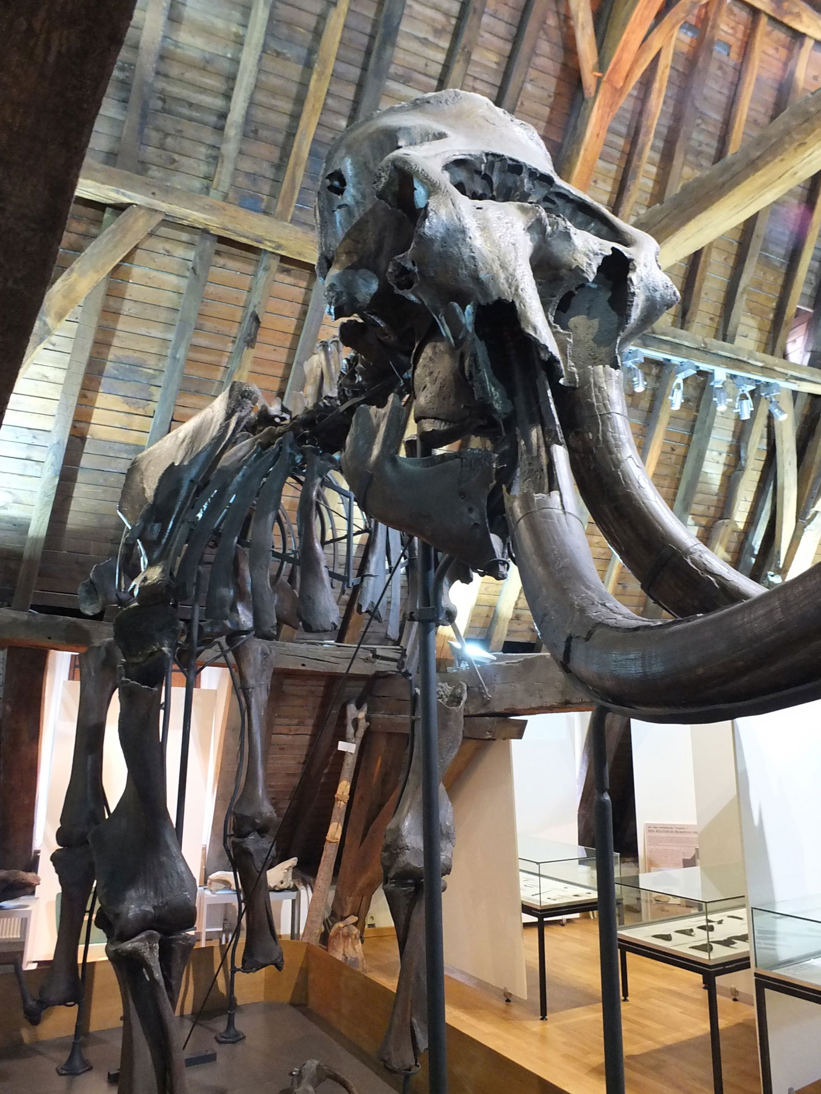 Stadsmuseum Vleeshuis