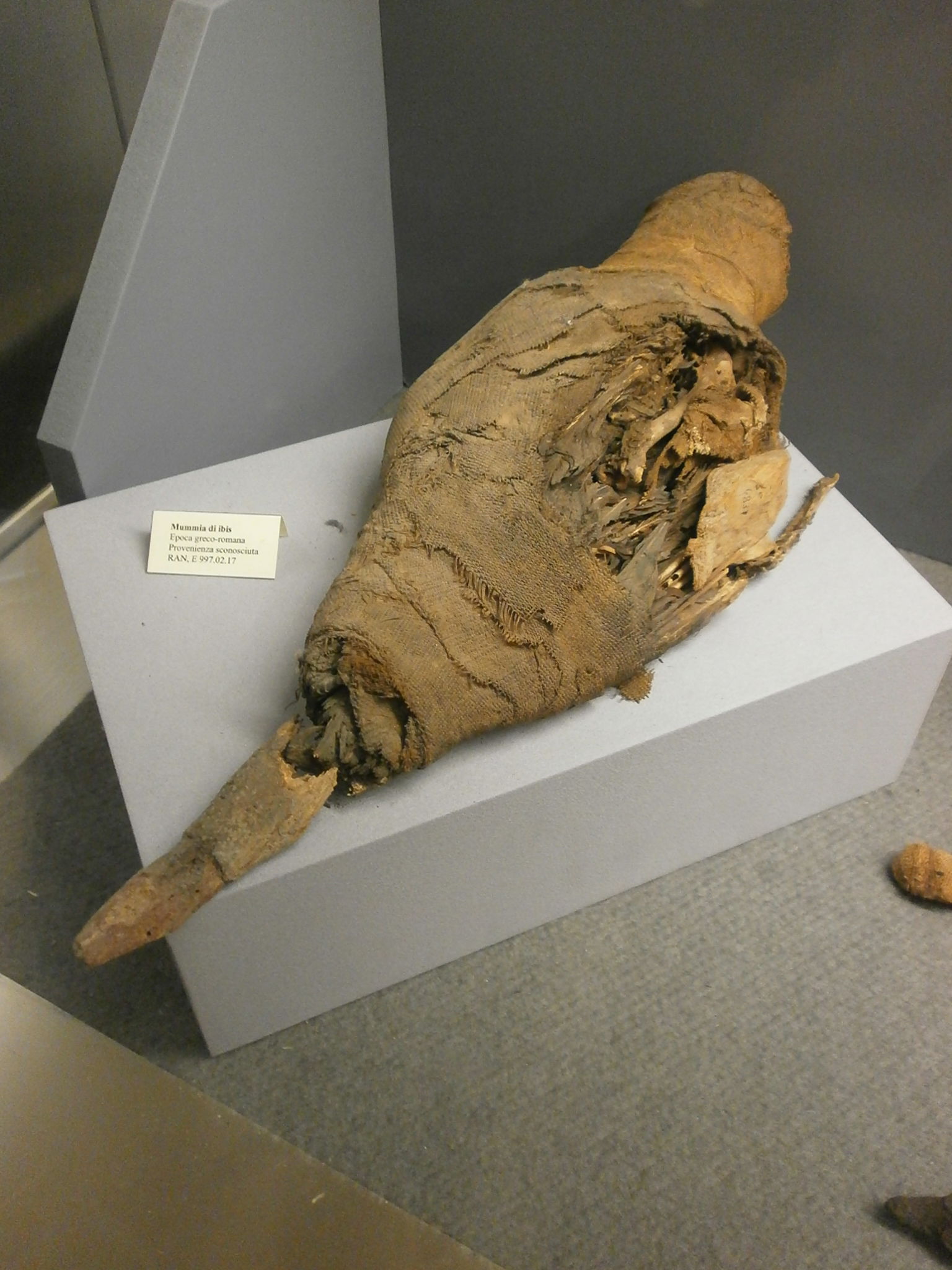 Musei del Castello Sforzesco