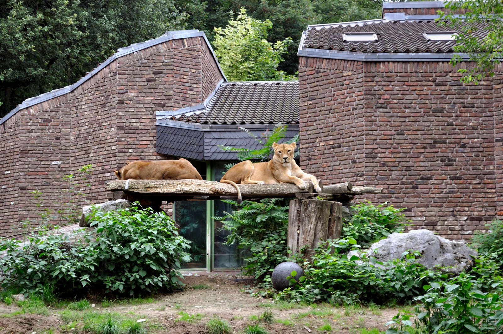 Zoo Duisburg