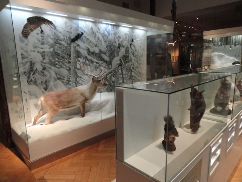 Finnish Museum of Natural History