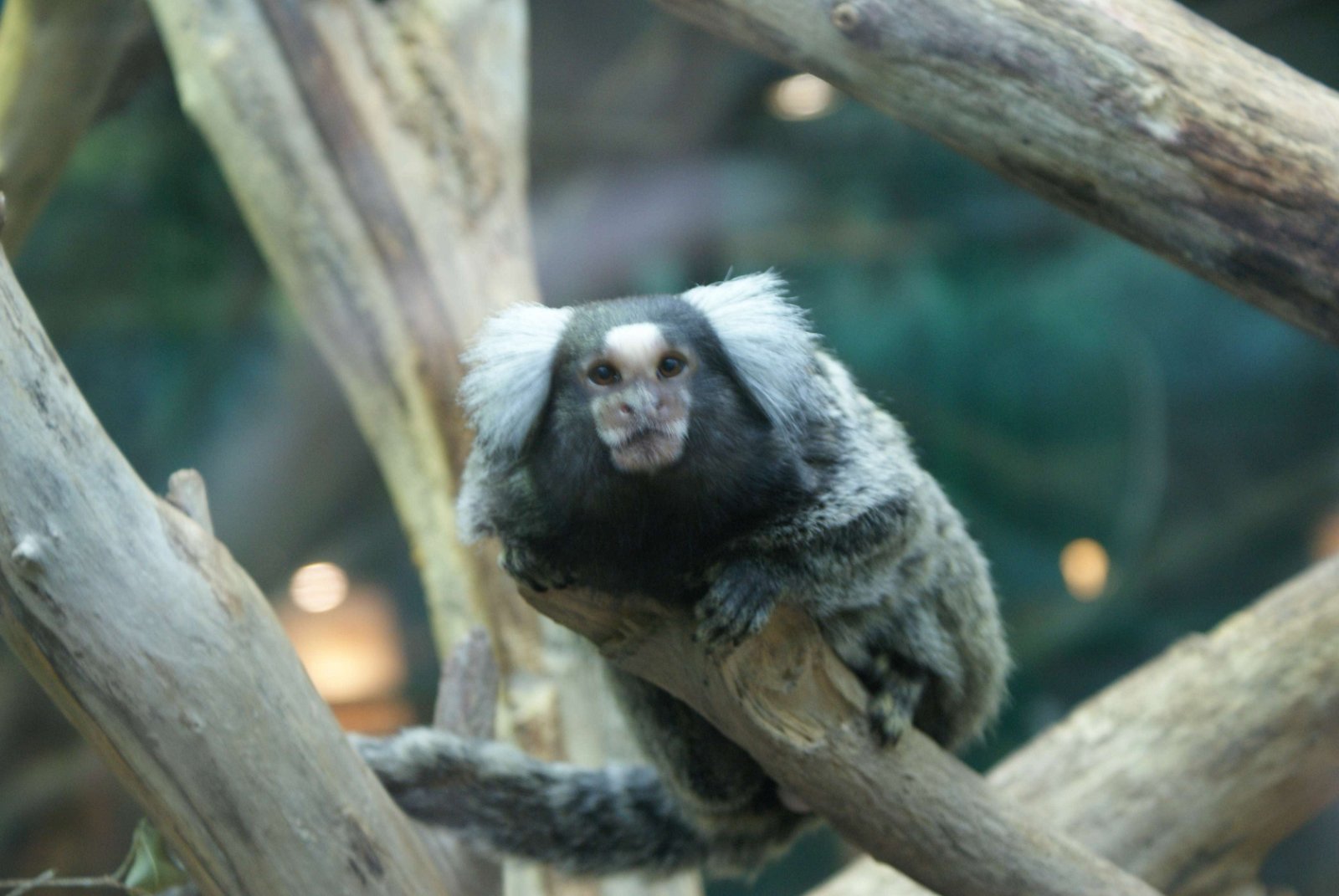 Tropicarium - Oceanarium