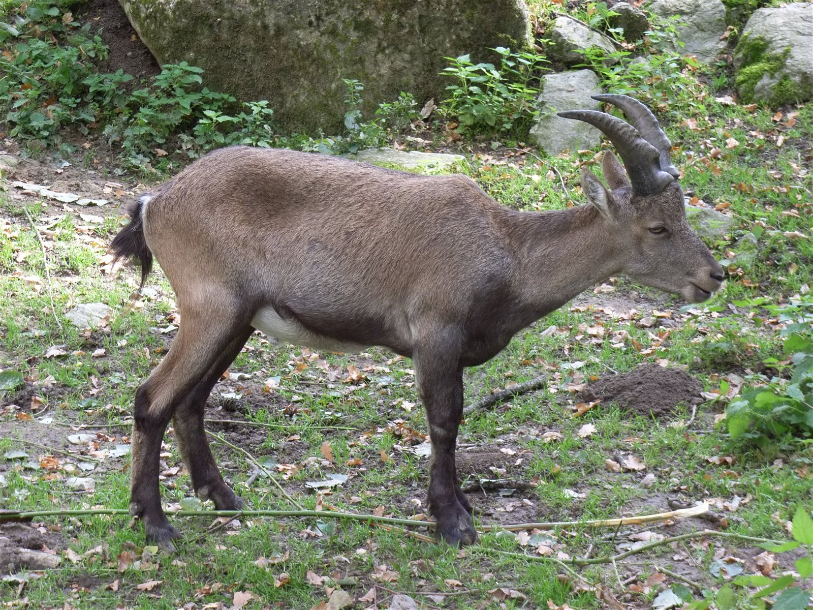 Heimat-Tierpark Olderdissen
